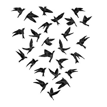 Isolated textured stipple silhouette of birds flock in the air Inspirational body flash tattoo ink. Vector.