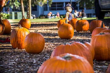 Pumpking festival at sunset