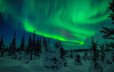 Northern Lights Fill The Sky