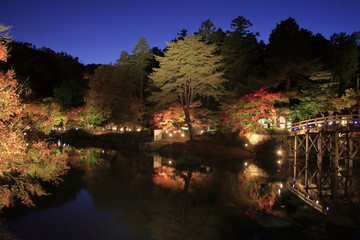 修善寺の紅葉(ライトアップ)と池