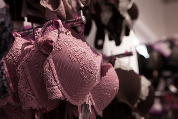 Vareity of bra hanging in lingerie underwear store. Advertise, Sale, Fashion concept