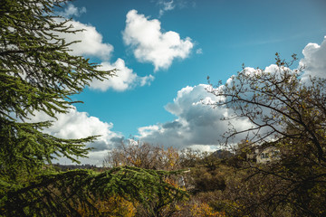 Fototapeta premium Autumn Nature