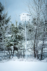 Bird house on the top of a post in winter with snow and trees