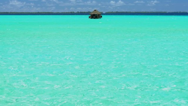 Paradise Island Reef overwater hut Palm trees in tropical aquamarine lagoon a luxury vacation resort in Bora Bora French Polynesia