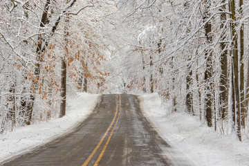 A road cutting through a frrozen forest