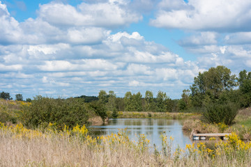 Peacefull lake on the farm