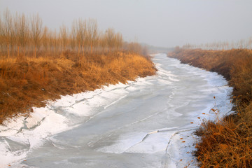 ice river and dry grass