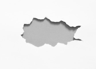 torn white paper on gray paper background, copy space.