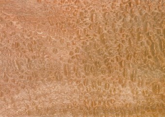 fond, matiere, bois,background