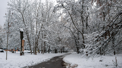 Winter Landscape of South Park with snow covered trees in city of Sofia, Bulgaria