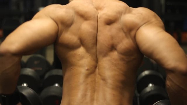 Body Builder Back Muscle workout