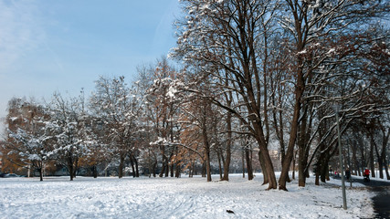 Winter Landscape of South Park with snow covered trees in city of Sofia, Bulgaria