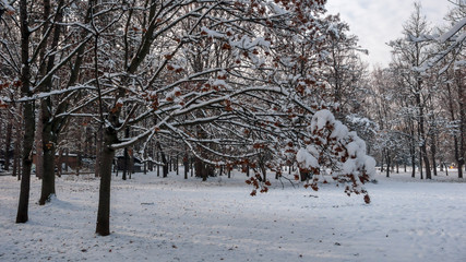 Winter Landscape of South Park with snow covered trees in city of Sofia, Bulgaria