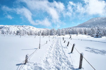 冬の北八ヶ岳