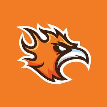 Phoenix mascot logo, fire bird illustration vector icon