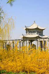 pavilion in the park