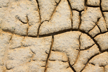dry land