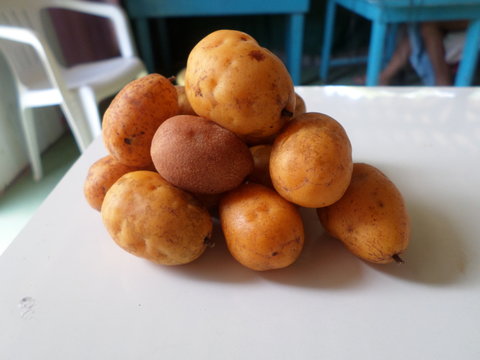 Tapereba