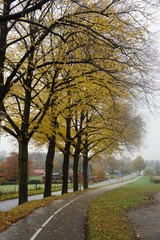 Naklejka premium Farmland across the road in Groesbeck the Netherlands in Europe