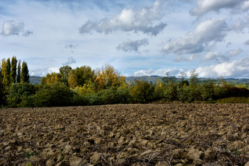 plowed field in spring