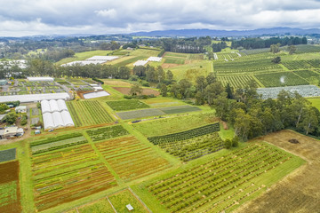 Fototapeta na wymiar Aerial view of fields in Australian countryside