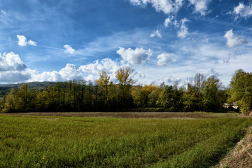 green field and blue sky