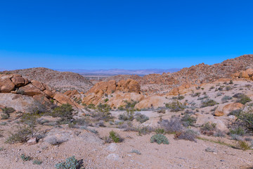 Fototapeta na wymiar Joshua Tree National Park panorama, California USA. A desert with rock formations and distant mountain chain on horizon.