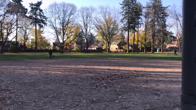 Woman walking dog with muzzle in park.