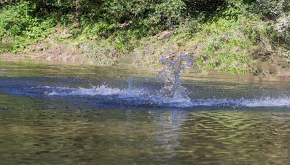 Water splash games in stones.