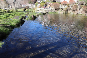 世界遺産・富士山の構成資産、忍野八海（濁池）