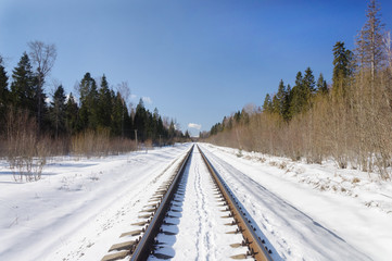 Obraz premium Railway line in winter forest