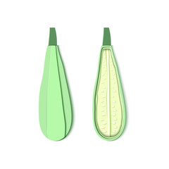 Set of two paper cut zucchini. Origami squash whole and half. Collection of vegetable marrow. Vector card illustration. Harvest courgette organic ingredient in paper art style.
