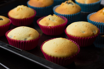 Cupcakes in paper cups on a black baking sheet.