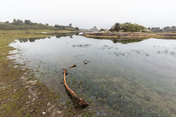 Landscape in the natural area of the Barruecos. Extremadura. Spain.