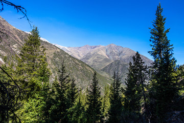 Scenic landscape in Ala Archa national park in Tian Shan mountain range, Kyrgyzstan