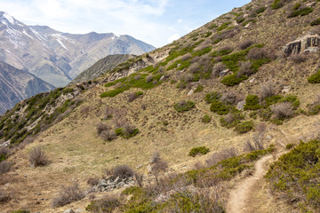 Scenic landscape in Ala Archa national park in Tian Shan mountain range, Kyrgyzstan