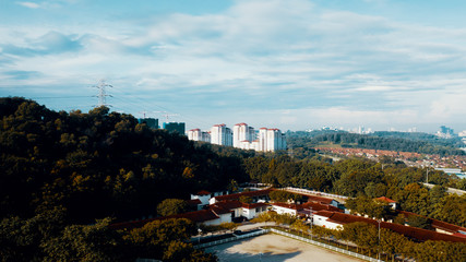 Obraz premium City Forest View