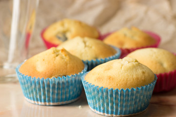 Cupcakes in colored paper forms on the table.