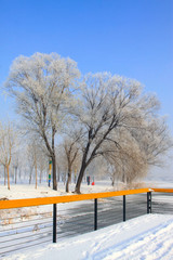 Rime natural landscape in north China