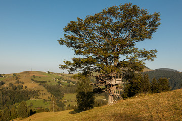 Small tree house