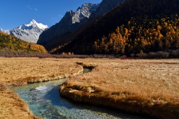 Calm clean stream passing through autumnly colored grassland and forest under the Chanadorje (Xianuoduoji, 5958m) mountain in Daocheng Yading Nature Reserve, Sichuan, China.
