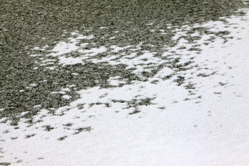 ice texture in the wild