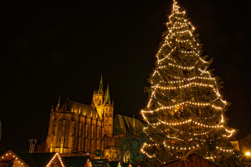 Fototapeta premium Weihnachtsmarkt in Erfurt auf dem Domplatz