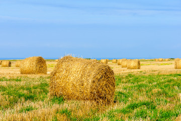 Field with haystacks and the ocean, Normandy, France