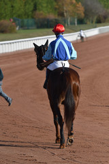 trot monté