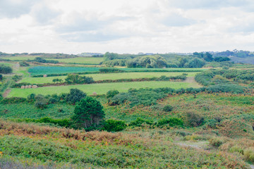 Fototapeta na wymiar Ille-et-Vilaine Landscape, Brittany