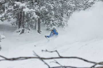 man skier free rider goes down on powder snow in the mountains in a snowfall