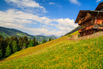 Panorame bei Alpbach