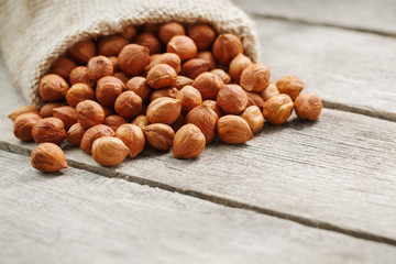 Chiselled hazelnuts in a bag of burlap on a gray wooden table. Organic Fresh Harvested