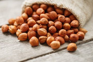 Fototapeta premium Chiselled hazelnuts in a bag of burlap on a gray wooden table. Organic Fresh Harvested